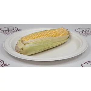 Komposztálható lapostányér 24,5 cm 125 db