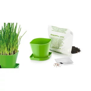 SENSE fűszernöv. term.szett,metélőhagyma