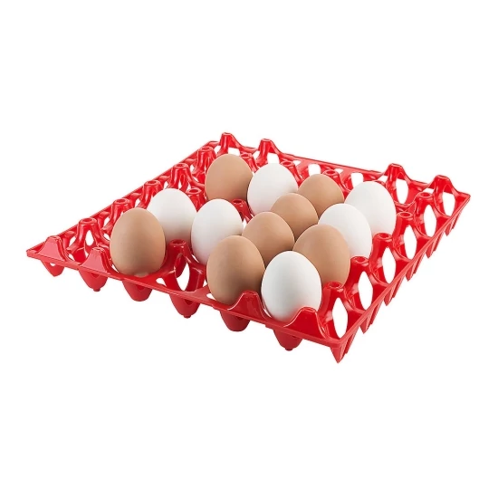 AMB HACCP kompatibilis tojástartó 30 db-os