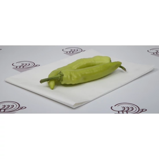 Pergament pótló papír 60 x 80 cm 50g / m2 10 kg