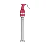 Kép 1/5 - Rúdmixer Profi Termékcsalád 500 - állítható sebességgel, HENDI, Profi Termékcsalád, 230V/400W, ø100x(H)866mm