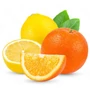 Kép 3/3 - Citrusprés 17 cm